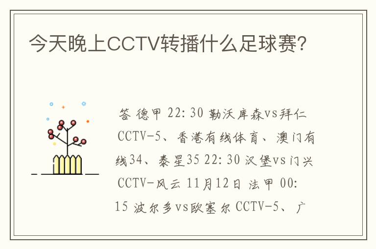 今天晚上CCTV转播什么足球赛？