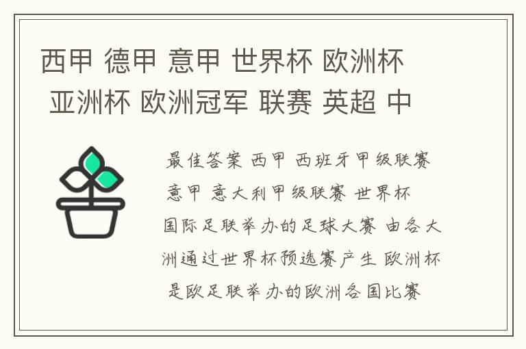 西甲 德甲 意甲 世界杯 欧洲杯 亚洲杯 欧洲冠军 联赛 英超 中超  分别是什么意思啊？