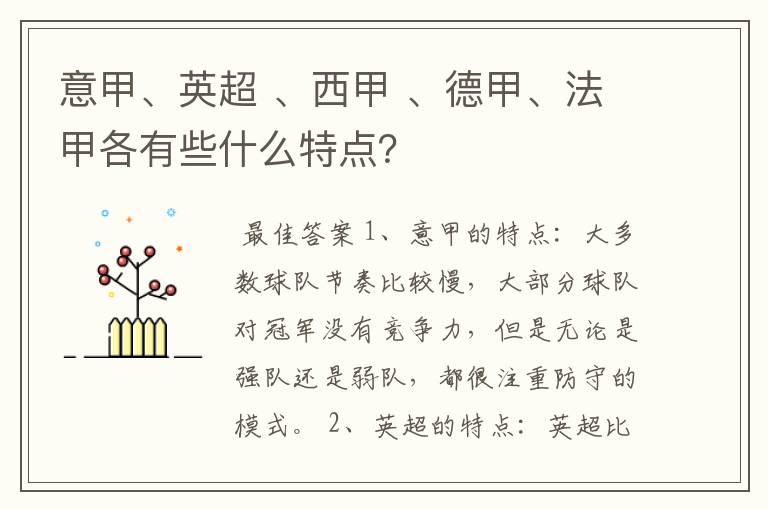 意甲、英超 、西甲 、德甲、法甲各有些什么特点？