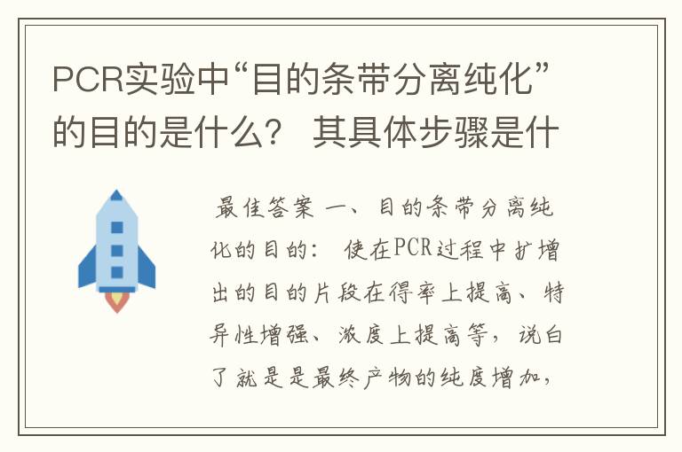 PCR实验中“目的条带分离纯化”的目的是什么？ 其具体步骤是什么？步骤又位于什么位置？ 请解惑