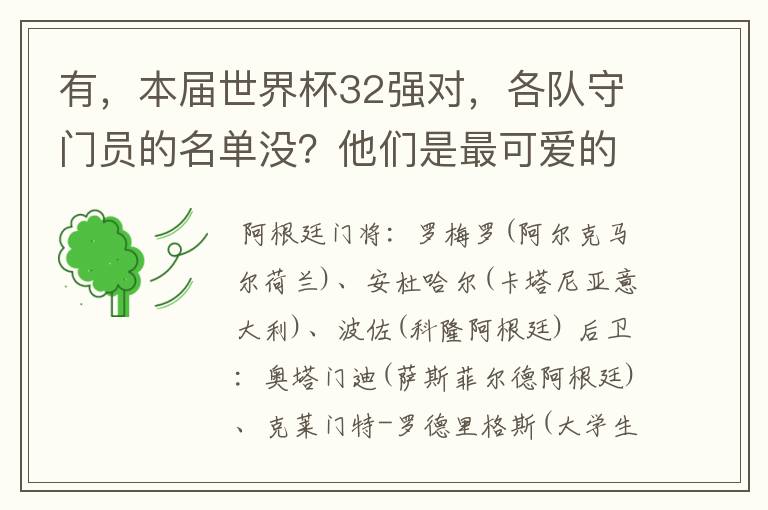 有，本届世界杯32强对，各队守门员的名单没？他们是最可爱的人