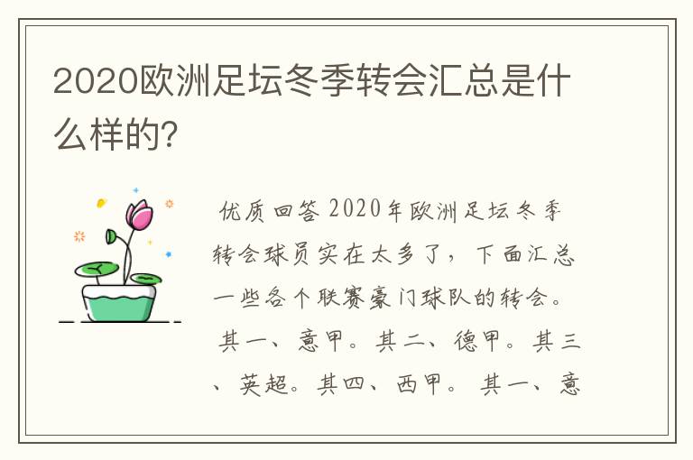 2020欧洲足坛冬季转会汇总是什么样的？