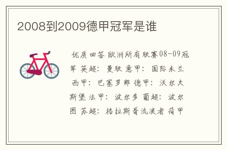 2008到2009德甲冠军是谁