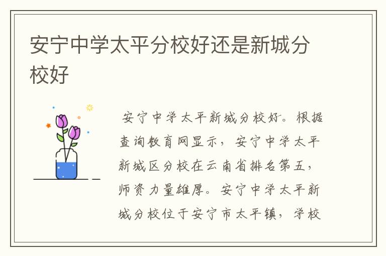 安宁中学太平分校好还是新城分校好