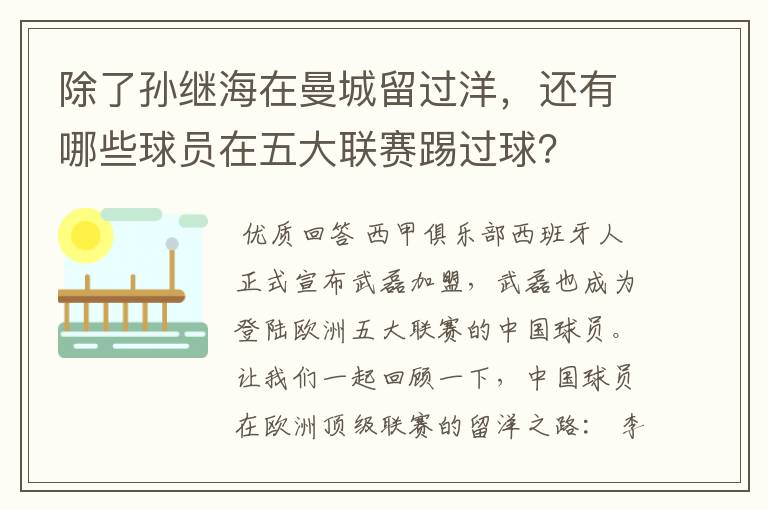 除了孙继海在曼城留过洋，还有哪些球员在五大联赛踢过球？