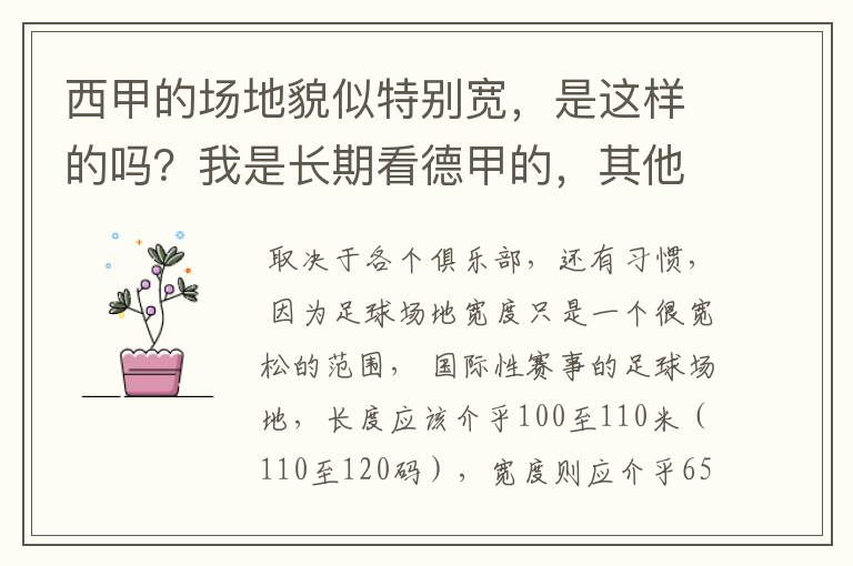 西甲的场地貌似特别宽，是这样的吗？我是长期看德甲的，其他联赛不清楚。