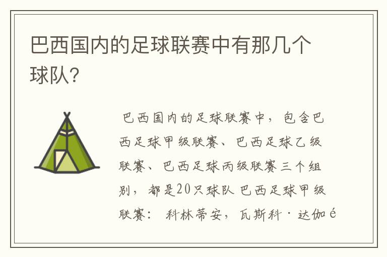 巴西国内的足球联赛中有那几个球队？