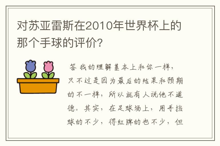 对苏亚雷斯在2010年世界杯上的那个手球的评价?