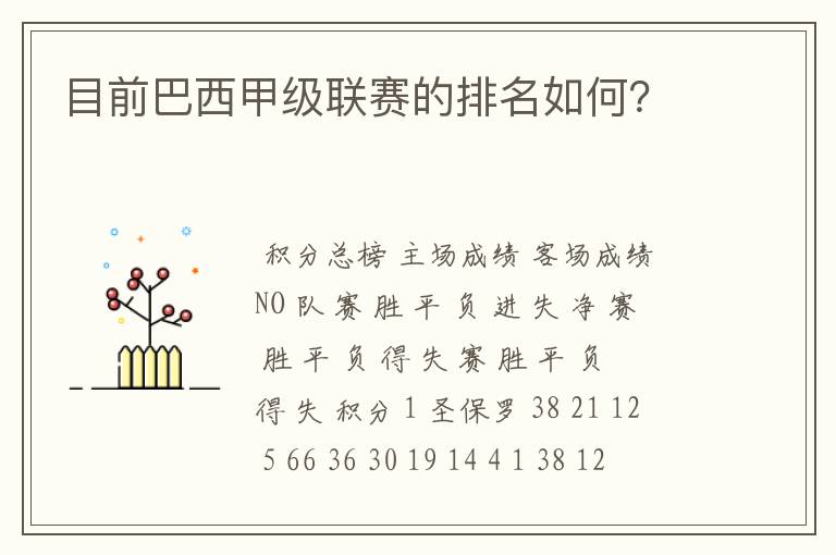 目前巴西甲级联赛的排名如何？