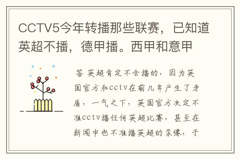 CCTV5今年转播那些联赛，已知道英超不播，德甲播。西甲和意甲及冠军杯播出吗？