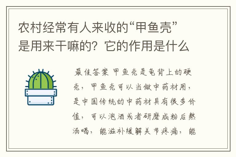 农村经常有人来收的“甲鱼壳”是用来干嘛的？它的作用是什么？