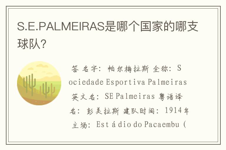 S.E.PALMEIRAS是哪个国家的哪支球队？