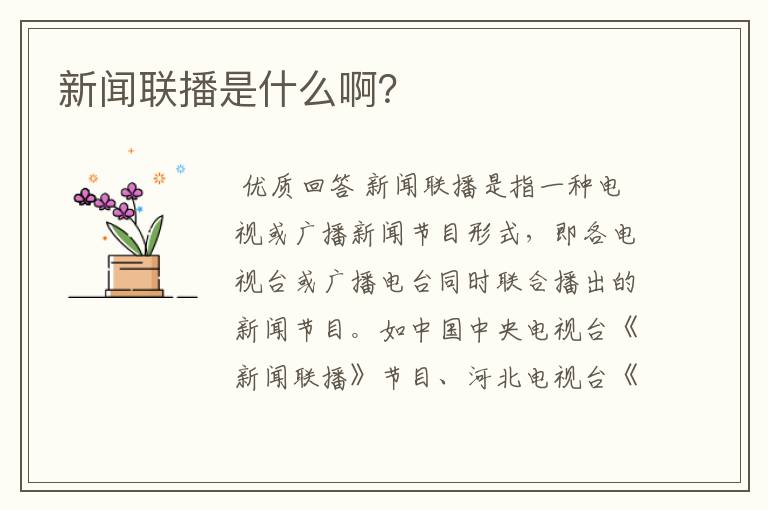 新闻联播是什么啊？