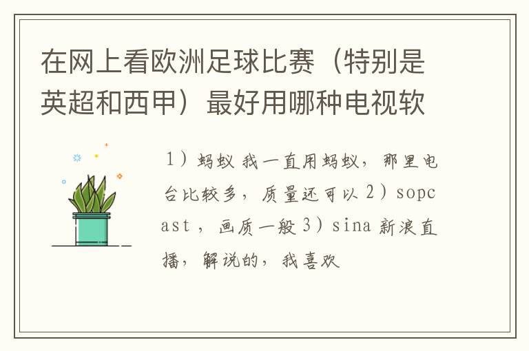 在网上看欧洲足球比赛（特别是英超和西甲）最好用哪种电视软件呢？