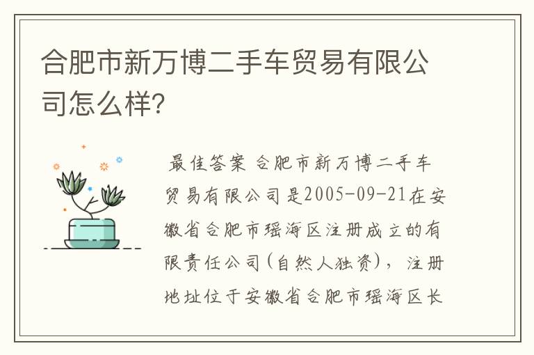 合肥市新万博二手车贸易有限公司怎么样？