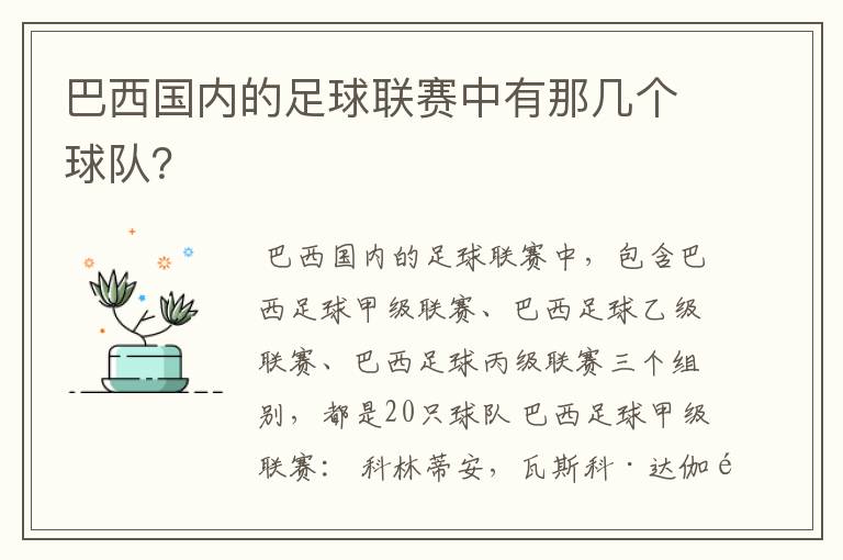 巴西国内的足球联赛中有那几个球队？