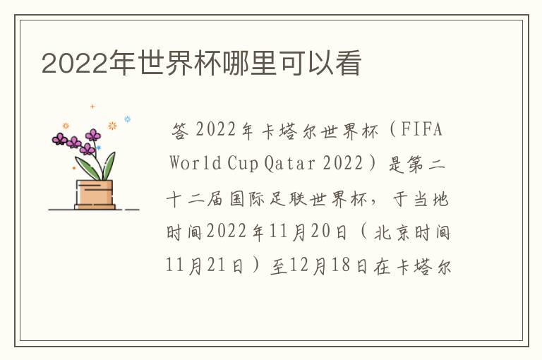 2022年世界杯哪里可以看