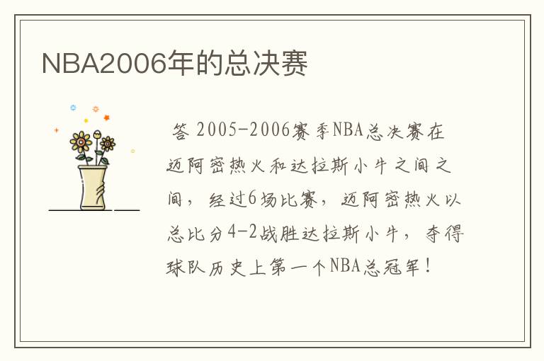 NBA2006年的总决赛