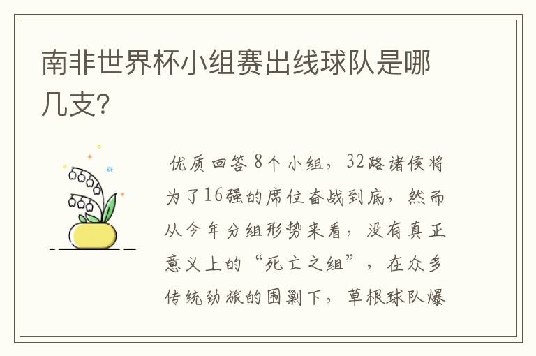 南非世界杯小组赛出线球队是哪几支？