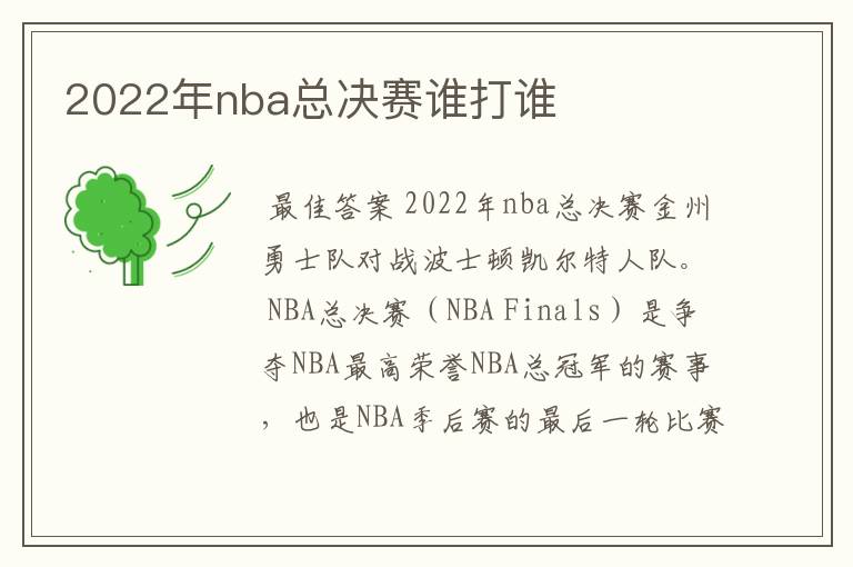 2022年nba总决赛谁打谁