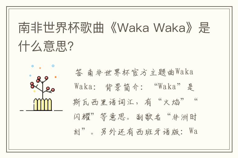 南非世界杯歌曲《Waka Waka》是什么意思？