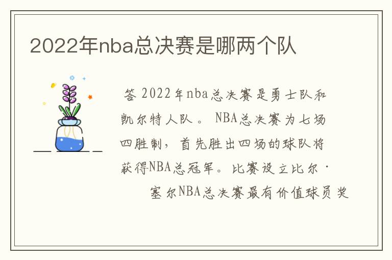 2022年nba总决赛是哪两个队