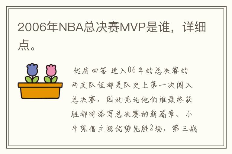 2006年NBA总决赛MVP是谁，详细点。