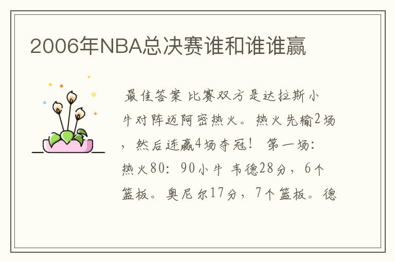 2006年NBA总决赛谁和谁谁赢