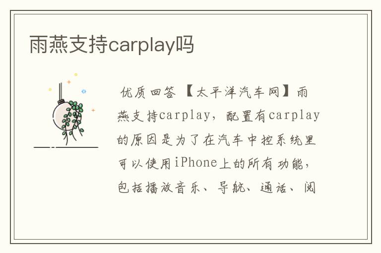 雨燕支持carplay吗