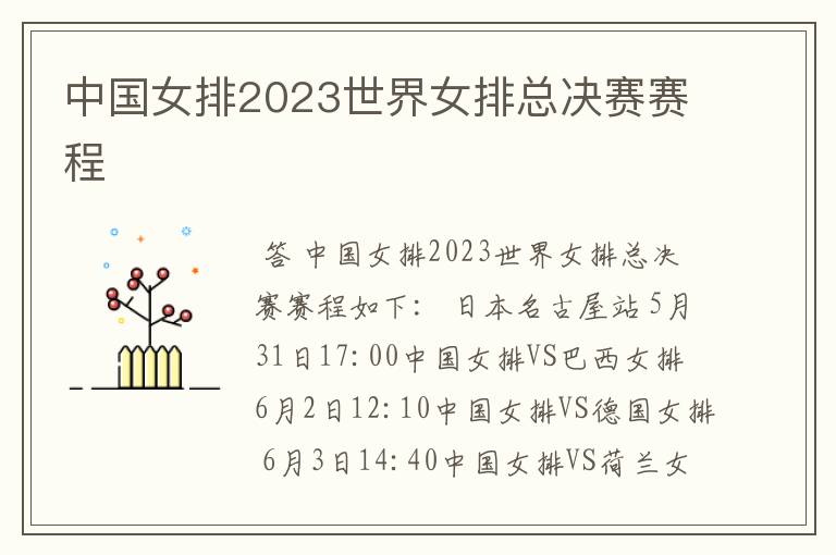 中国女排2023世界女排总决赛赛程