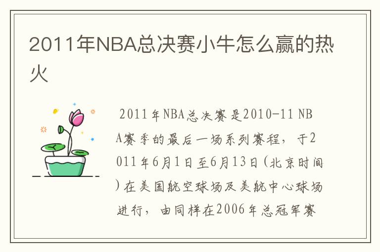 2011年NBA总决赛小牛怎么赢的热火