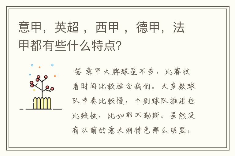 意甲，英超 ，西甲 ，德甲，法甲都有些什么特点？