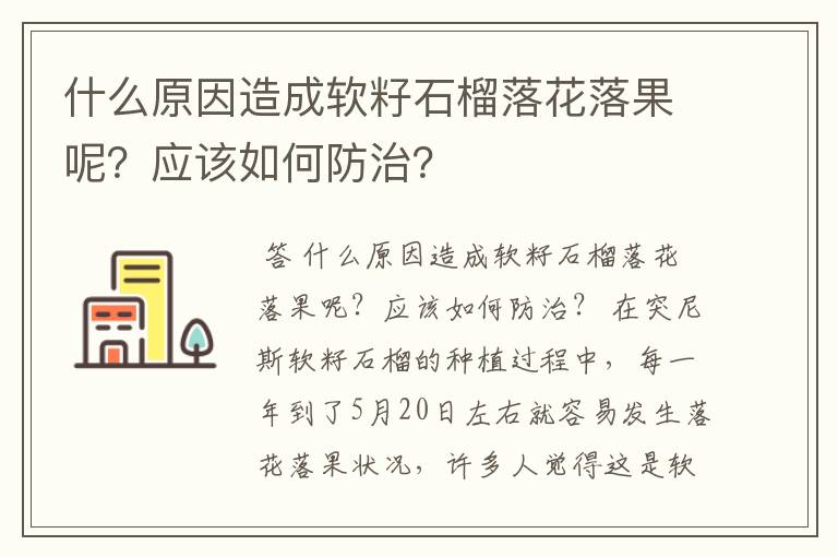 什么原因造成软籽石榴落花落果呢？应该如何防治？