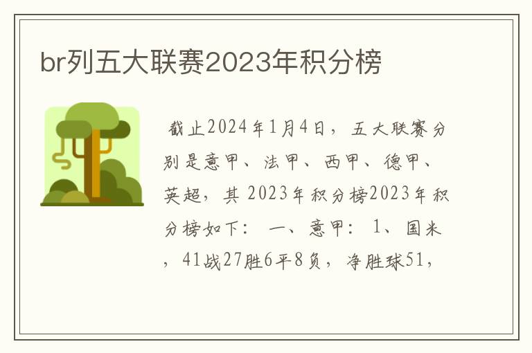 br列五大联赛2023年积分榜