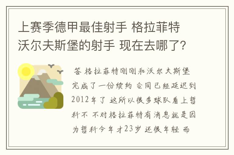 上赛季德甲最佳射手 格拉菲特 沃尔夫斯堡的射手 现在去哪了？