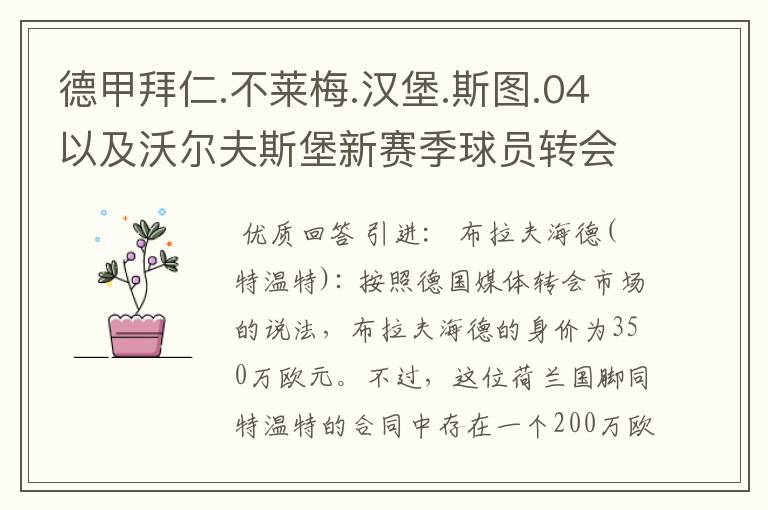 德甲拜仁.不莱梅.汉堡.斯图.04以及沃尔夫斯堡新赛季球员转会一览