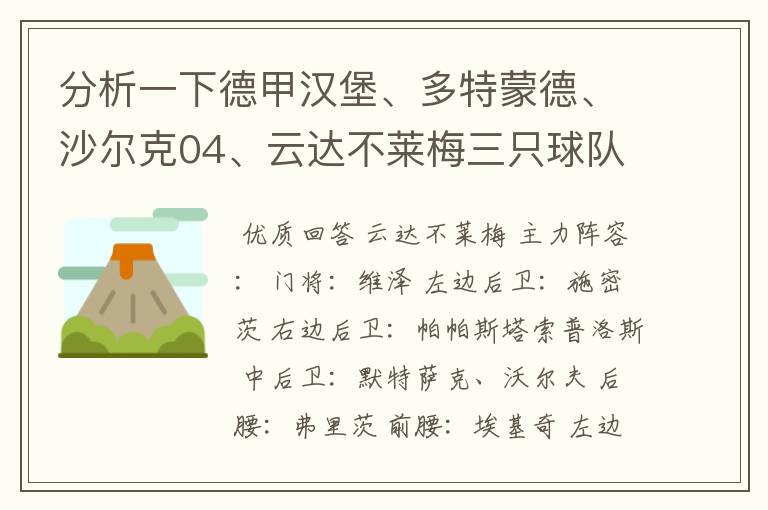 分析一下德甲汉堡、多特蒙德、沙尔克04、云达不莱梅三只球队的人员打法和阵型