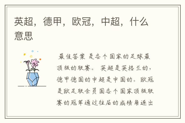 英超,德甲,欧冠,中超,什么意思