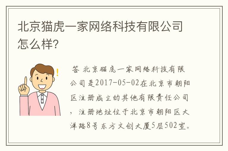 北京猫虎一家网络科技有限公司怎么样？