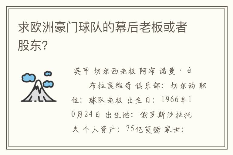 求欧洲豪门球队的幕后老板或者股东？