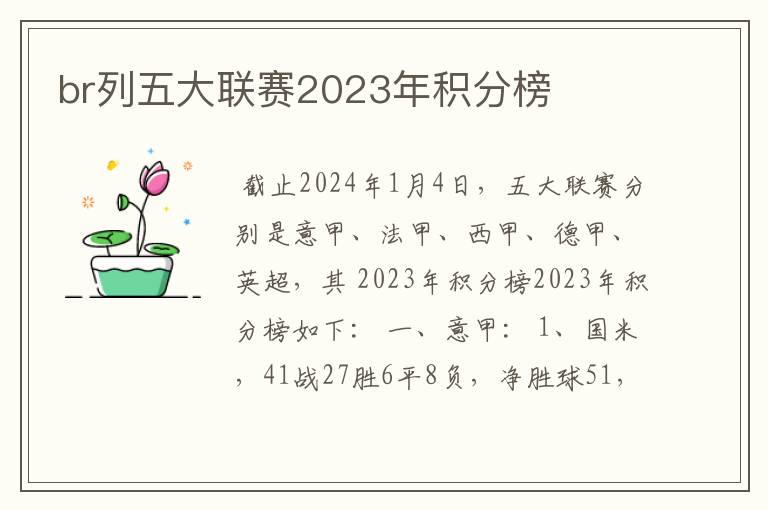 br列五大联赛2023年积分榜