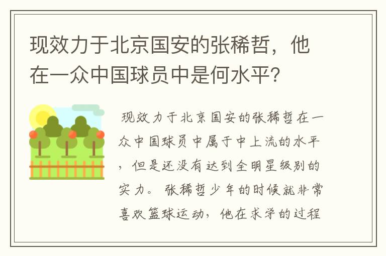 现效力于北京国安的张稀哲，他在一众中国球员中是何水平？