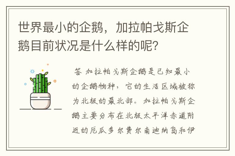 世界最小的企鹅，加拉帕戈斯企鹅目前状况是什么样的呢？