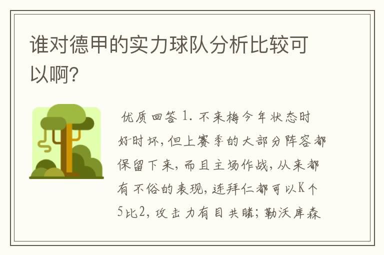 谁对德甲的实力球队分析比较可以啊？