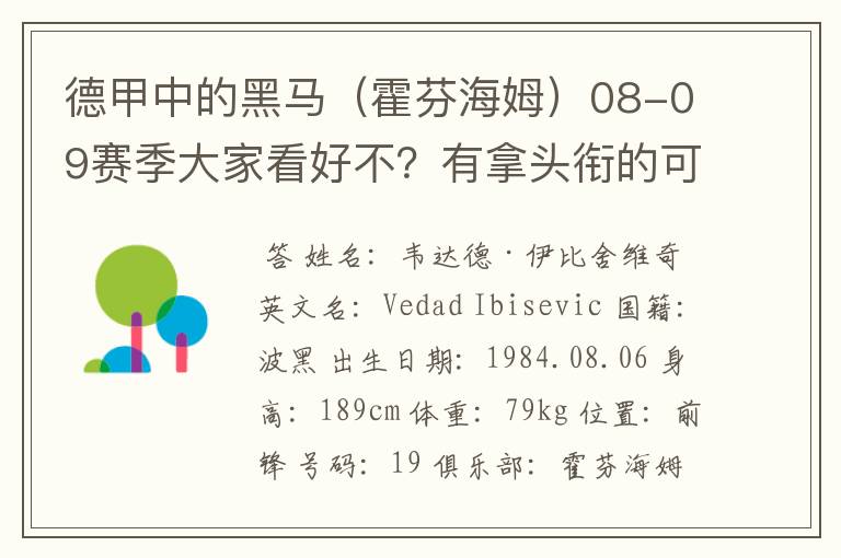 德甲中的黑马（霍芬海姆）08-09赛季大家看好不？有拿头衔的可能吗？