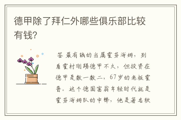 德甲除了拜仁外哪些俱乐部比较有钱？