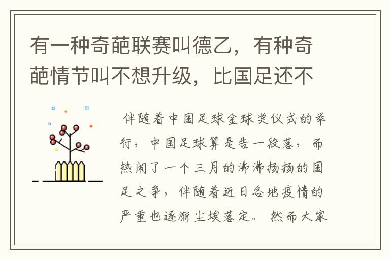 有一种奇葩联赛叫德乙，有种奇葩情节叫不想升级，比国足还不要脸