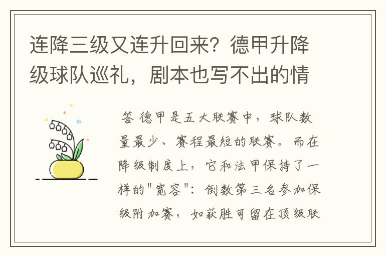 连降三级又连升回来？德甲升降级球队巡礼，剧本也写不出的情节