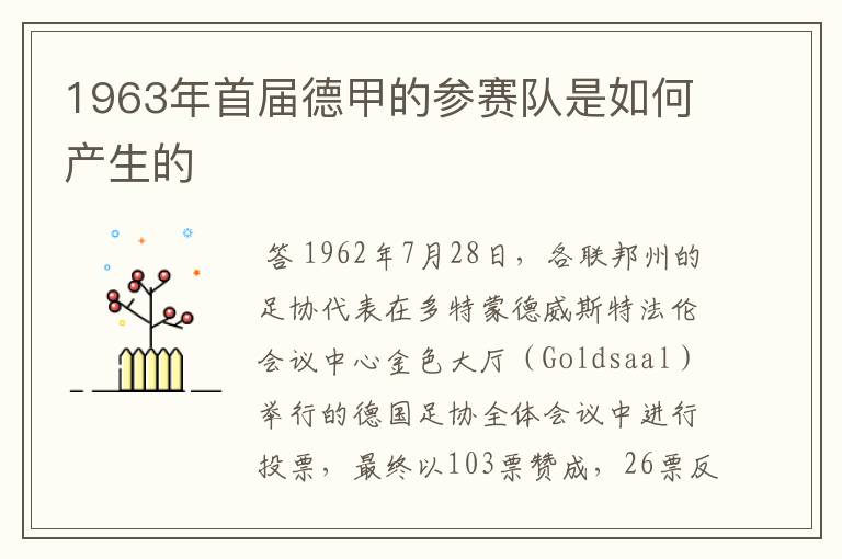 1963年首届德甲的参赛队是如何产生的