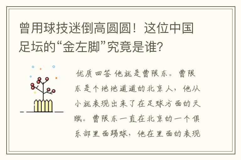 曾用球技迷倒高圆圆！这位中国足坛的“金左脚”究竟是谁？